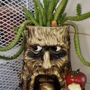 Meet your Posher, Kristy